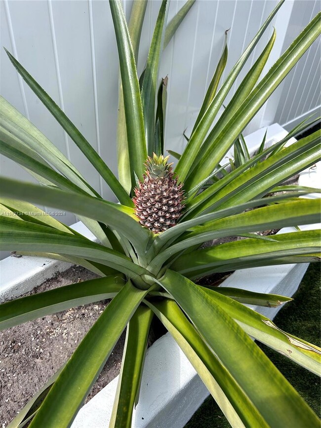 4291 Island Cir unit A, Fort Myers, FL 33919 - photo 7