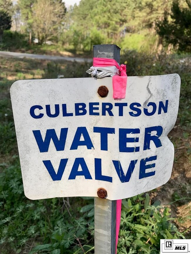 000 Whitehead Rd, Choudrant, LA 71227 - photo 7