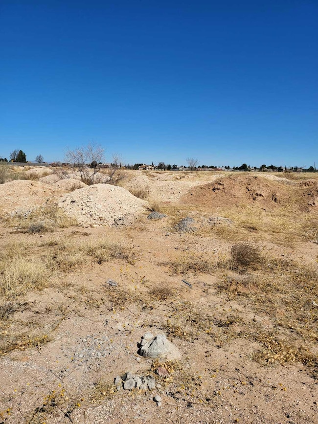 PHOTO-2022-03-16-16-38-12 (2)