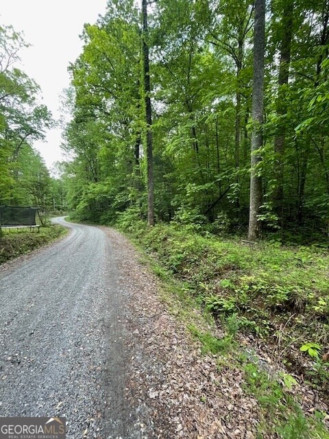 0 Mccormick Dr unit 10509566, Dawsonville, GA 30534 - photo 5