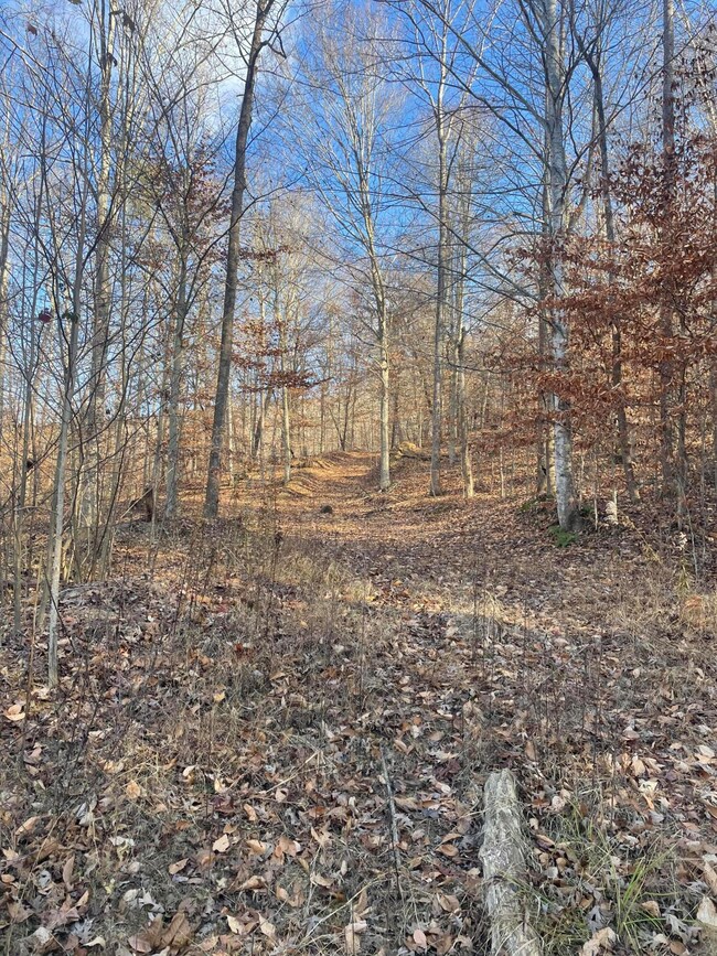 14645 Morehead Rd, Wallingford, KY 41093 - photo 6