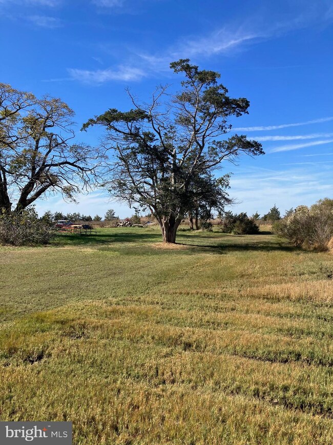 1866 Saint Thomas Church Rd, Toddville, MD 21672 - photo 3