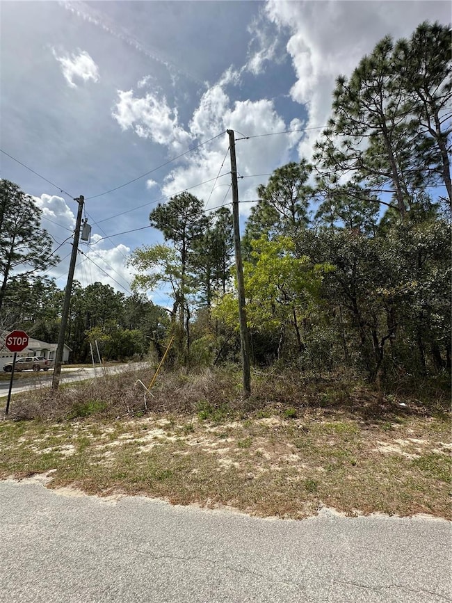 2 Fringetree Ct, Homosassa, FL 34446 - photo 2