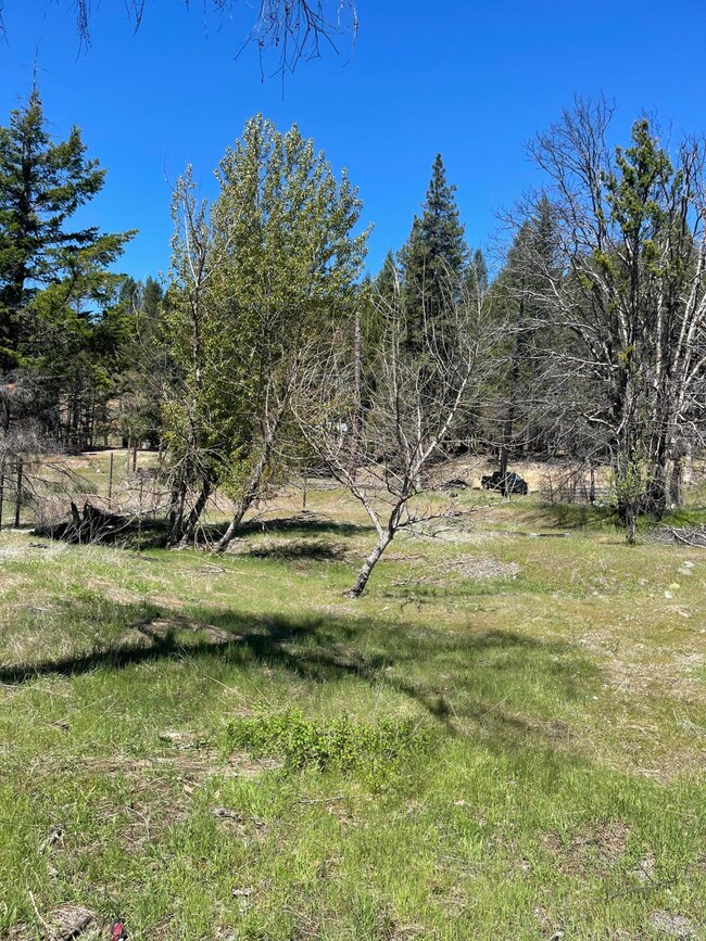300 Cedar Gap Rd, Ruth Lake, CA 95526 - photo 4