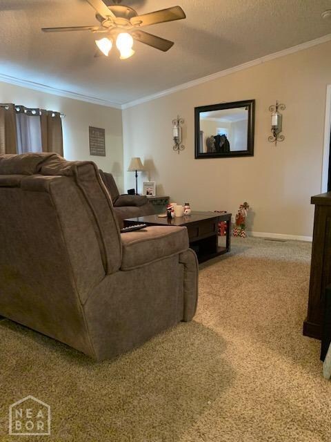 907 Greene 7610 Rd, Paragould, AR 72450 - photo 4