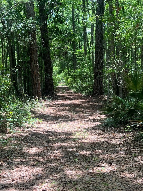 easement road.