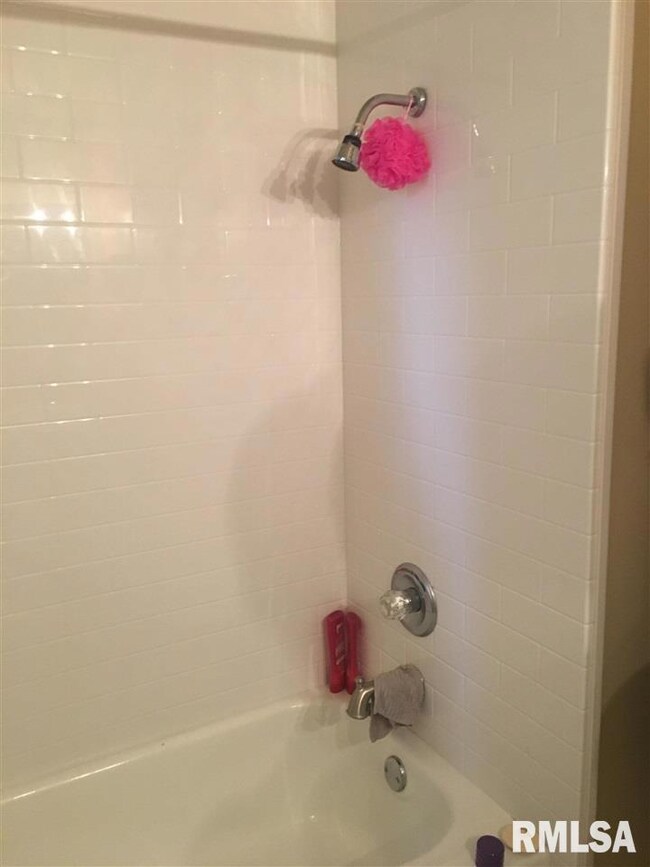 5119 N Ripley C-12 St, Davenport, IA 52806 - photo 4