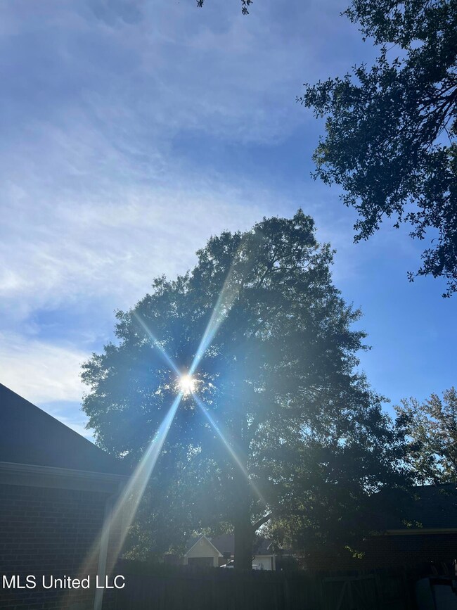 Unassigned Hines Cir, Braxton, MS 39044 - photo 2