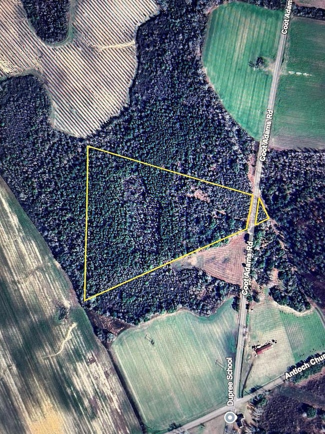 20+-ac Coot Adams Rd, Ashford, AL 36312 - photo 2