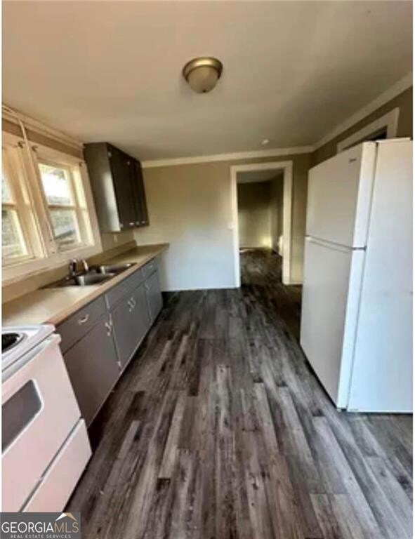 Kitchen with white appliances, a sink, dark wood-style flooring, ornamental molding, and light countertops