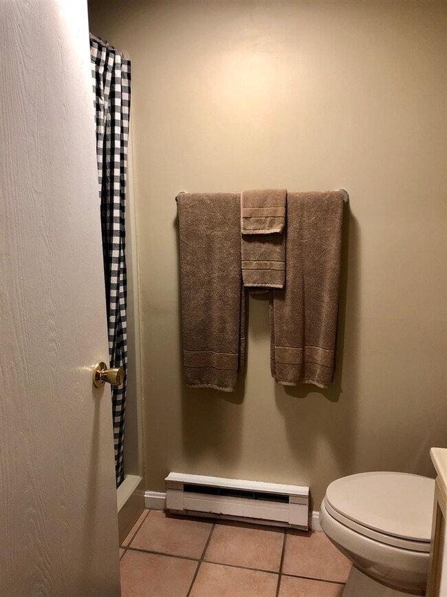 4 Grant Dr unit 171, Woodstock, NH 03262 - photo 6