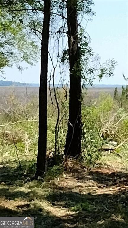 View from Marsh Lots 22, 27, 28, 29. 30
