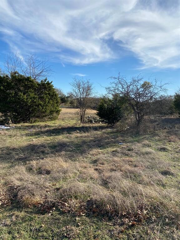 14021 Sandy Oaks Dr, Whitney, TX 76692 - photo 2