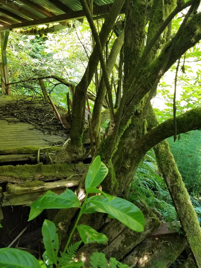 20180713_114822