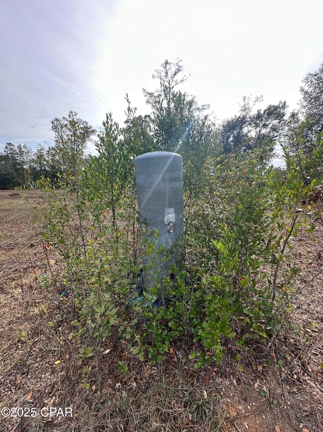 2194 Mohawk Trail, Sneads, FL 32460 - photo 3