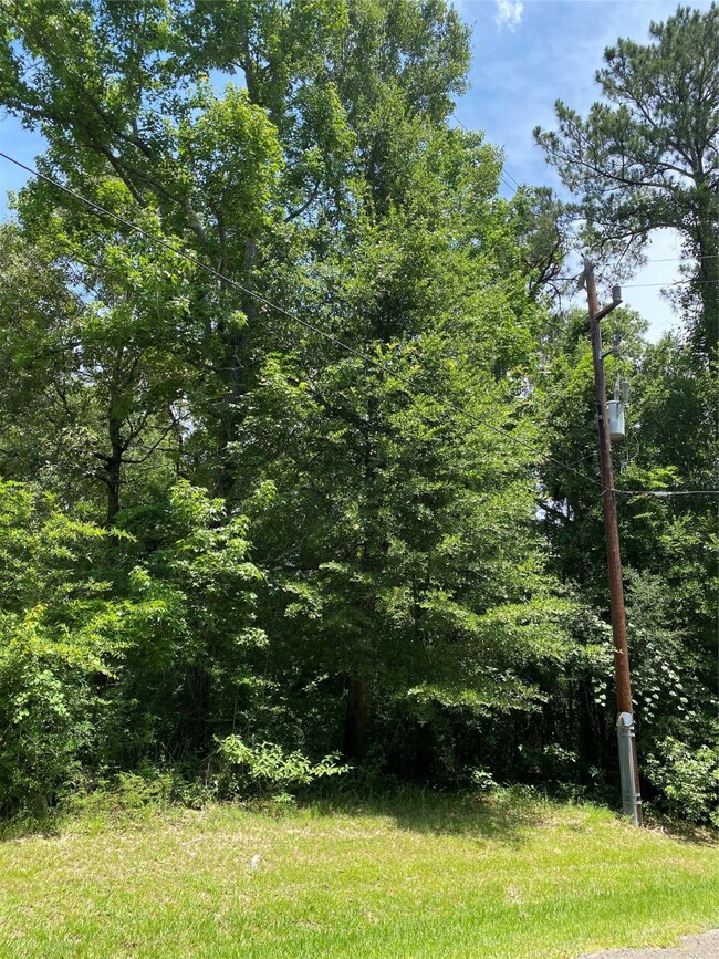 6503 Skylight Ln, Magnolia, TX 77354 - photo 3