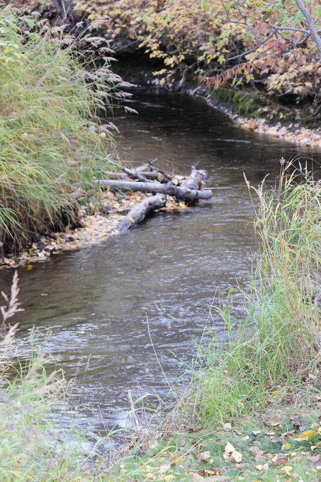 WCC Wasilla Creek