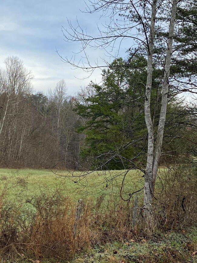 17 ac. Old Chilhowee 5 MLS1136250