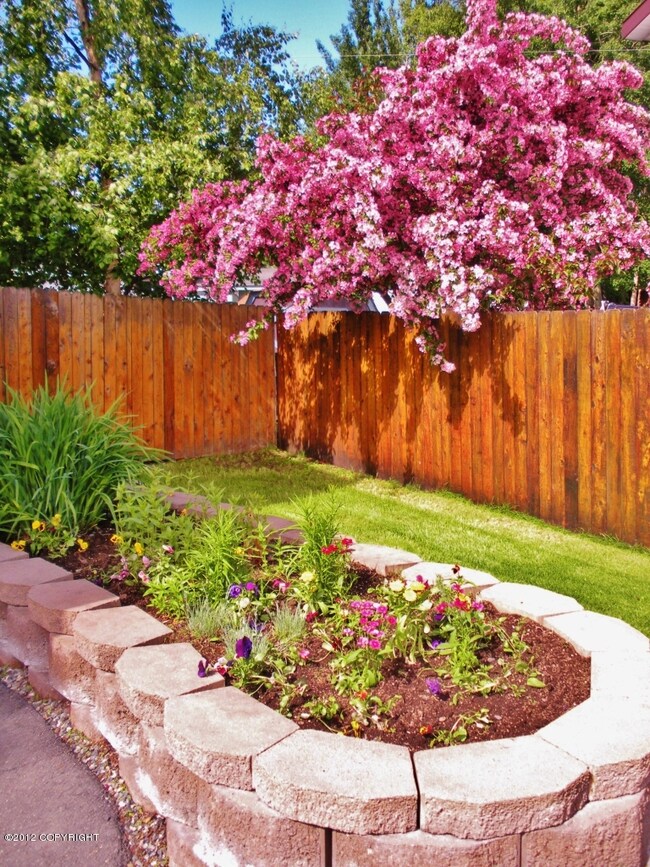 front side yard