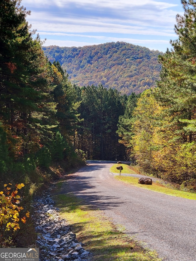 LOT 7 Ridge Top Dr unit 7, Ellijay, GA 30536 - photo 4
