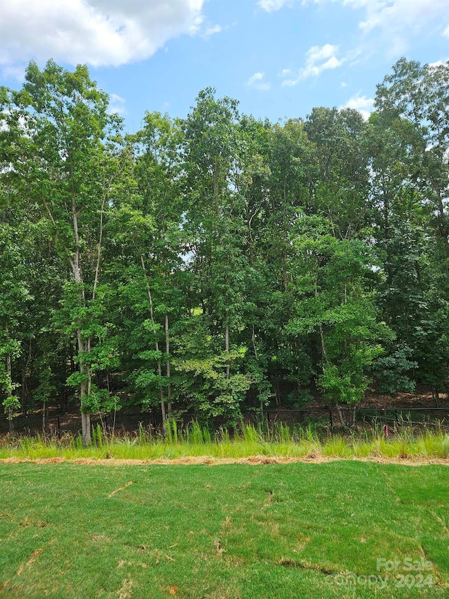 Tree-lined Back Yard