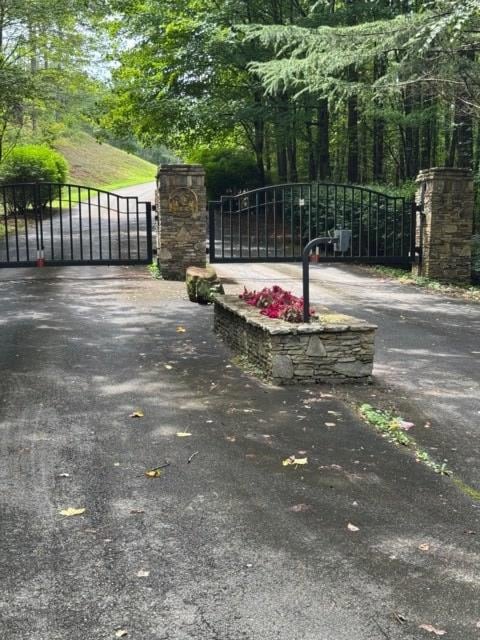 LT 43&44 Reece Mountain Rd, Ellijay, GA 30546 - photo 3