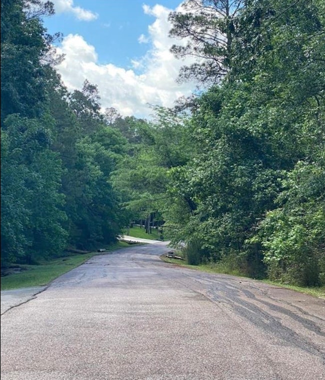 43 Shetland Ln, Coldspring, TX 77331 - photo 4