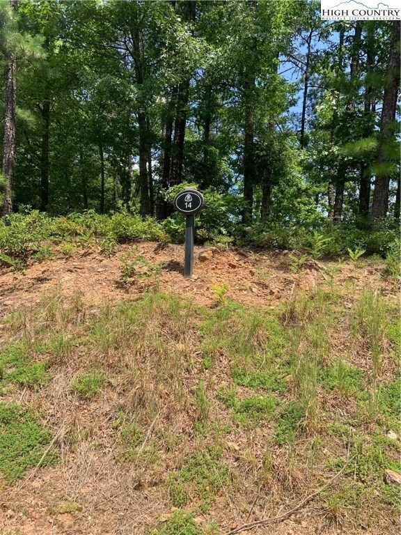 Lot 14 Lady's Mantle Ln, Ferguson, NC 28624 - photo 3