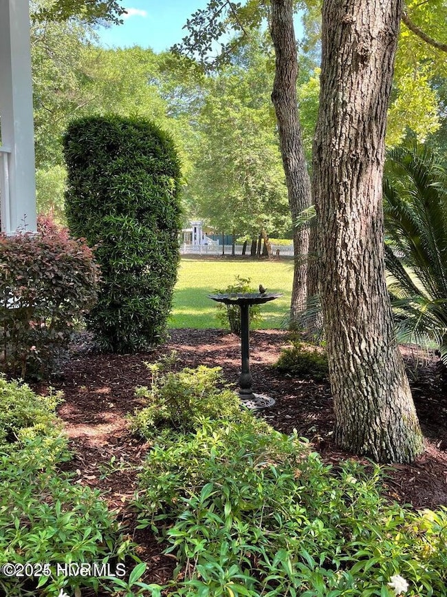 birdbath
