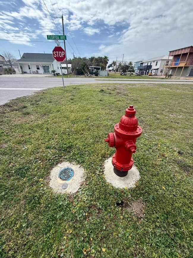 201 Louisiana Dr, Mexico Beach, FL 32456 - photo 4