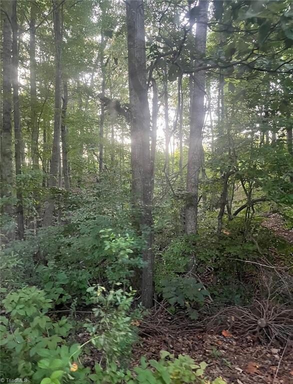 00 Cannon Heights Dr, Asheboro, NC 27205 - photo 5