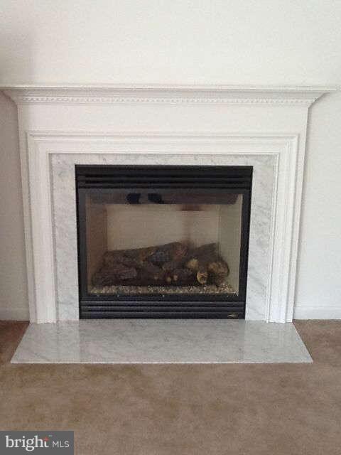 14624 Eggbornsville Rd, Culpeper, VA 22701 - photo 6