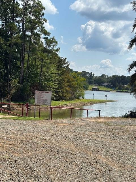 315 Arnold Rd, Many, LA 71449 - photo 5