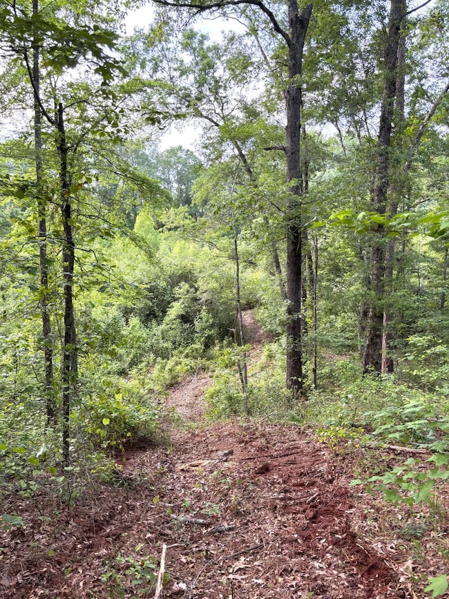 unlisted-address unit Attala County MS, Kosciusko, MS 39090 - photo 5