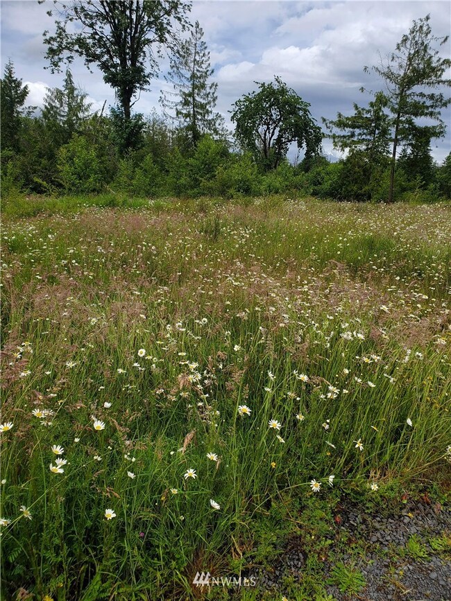 389 Avery Rd E, Chehalis, WA 98532 - photo 3