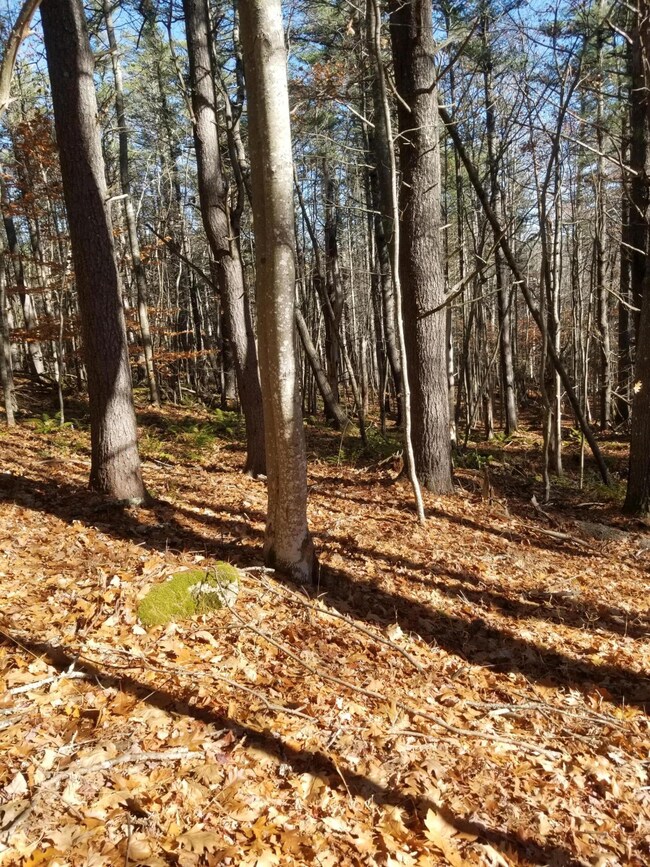 20201110_102016