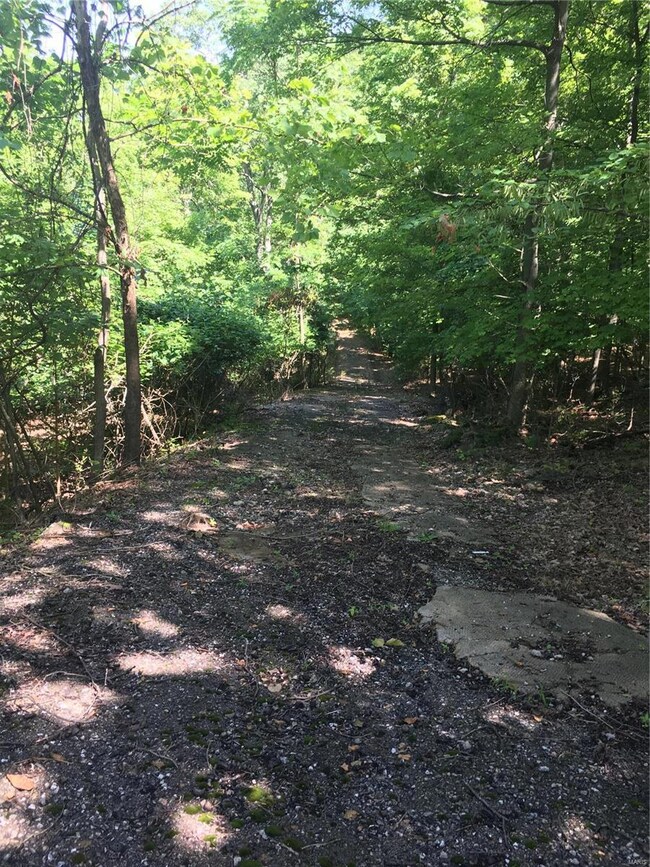 Temporary Driveway to clearing. Property is on the