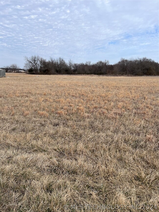 LOT VIEW