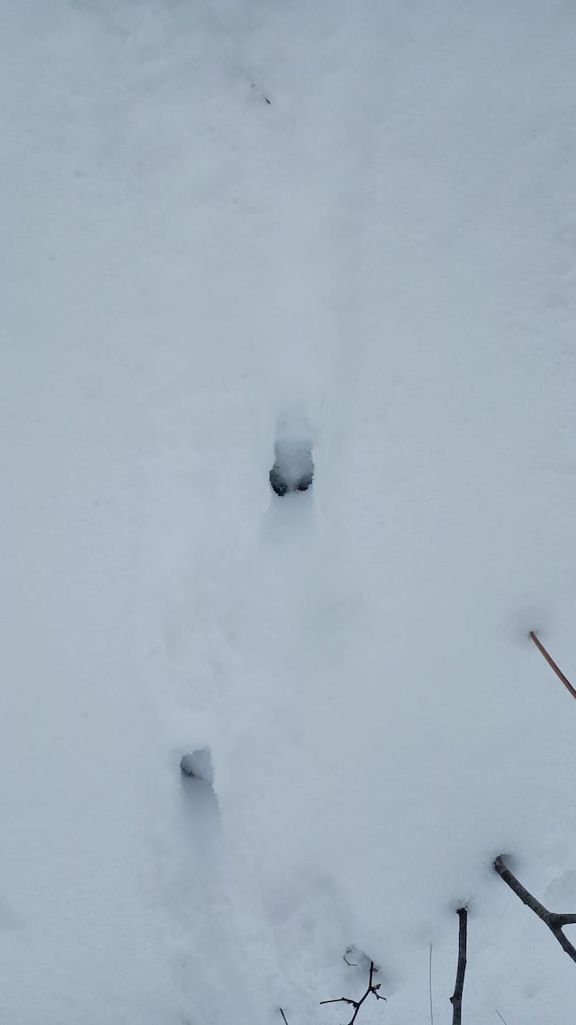 V/L 118A E Townline Rd, Free Soil, MI 49411 - photo 7