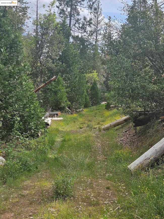 00 Italian Bar Rd, Twain Harte, CA 95383 - photo 5