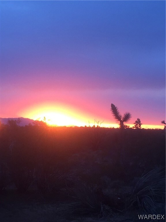 Nature at dusk with a mountain view