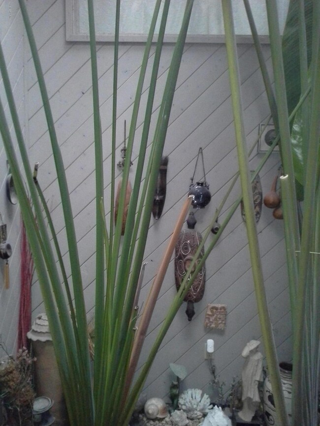 20150322_102804.jpg