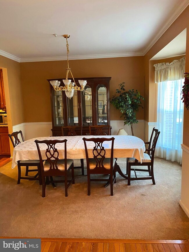 7402 Prospect Hill Ct, Glenn Dale, MD 20769 - photo 5