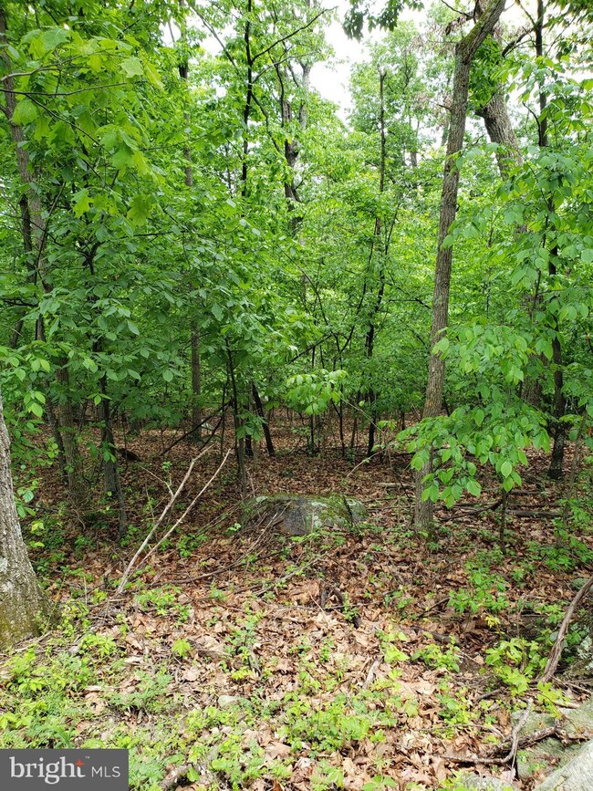 0 Lot 378 Kits Ct unit VAWR2003128, Front Royal, VA 22630 - photo 3