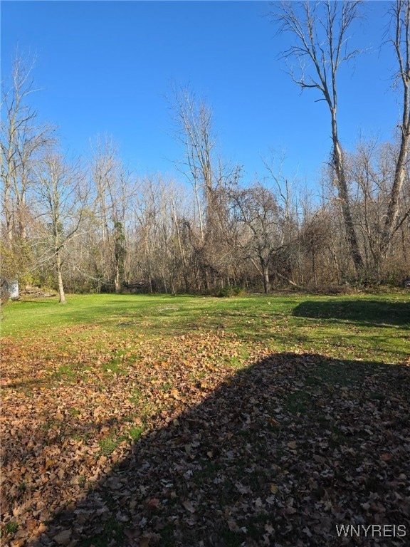 1861 Hess Rd, Appleton, NY 14008 - photo 5