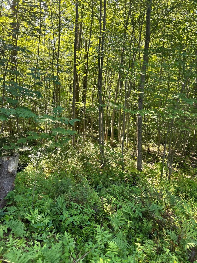 20A Wiscasset Rd, Pittston, ME 04345 - photo 5