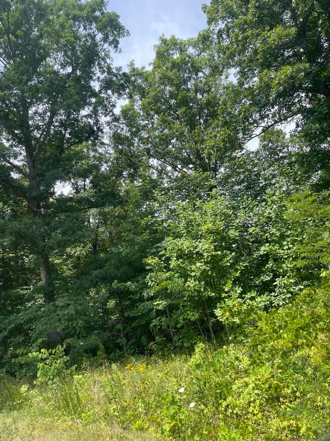 1553 Allen Rd, Booneville, KY 41314 - photo 7