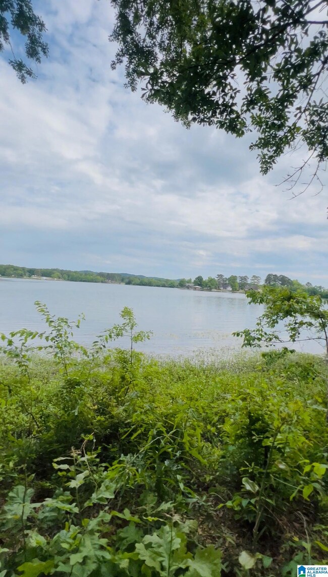 0 Cedar Shores Dr unit 21419292, Sylacauga, AL 35151 - photo 6