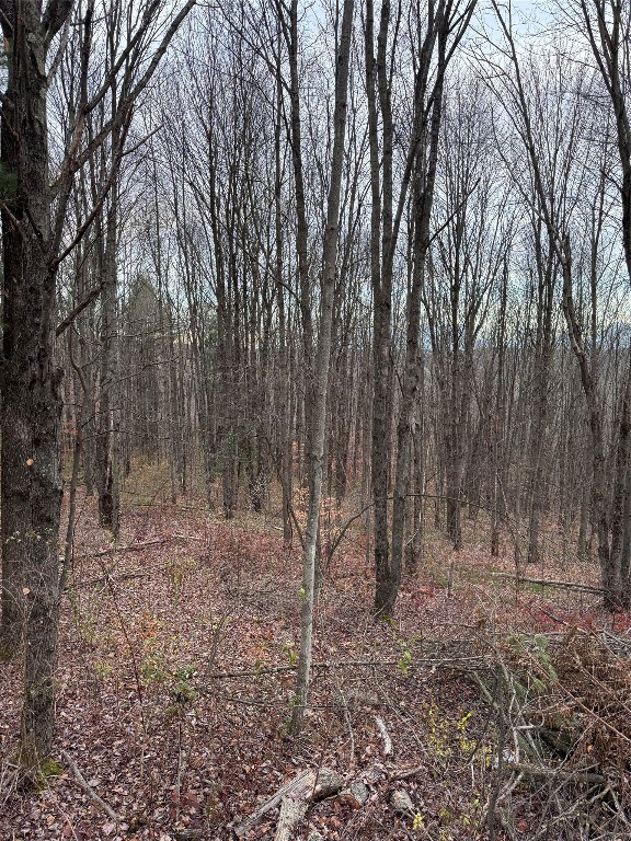 00 Campbell Hill Rd, Owego, NY 13827 - photo 7