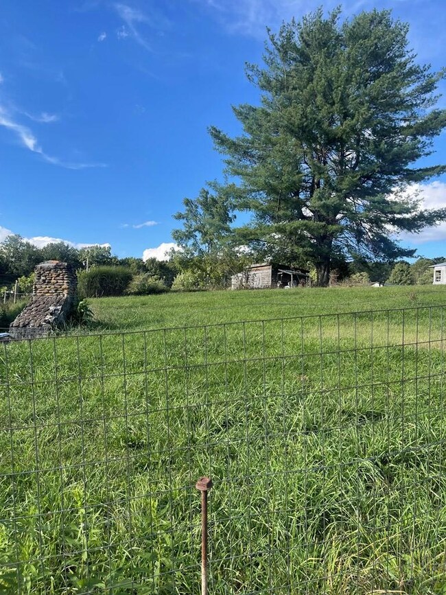 134 Quincy Ln, Lashmeet, WV 24733 - photo 3